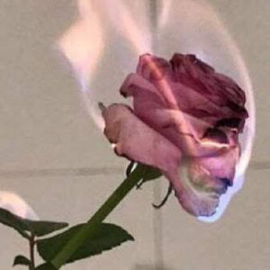 Meet your Posher, Miranda